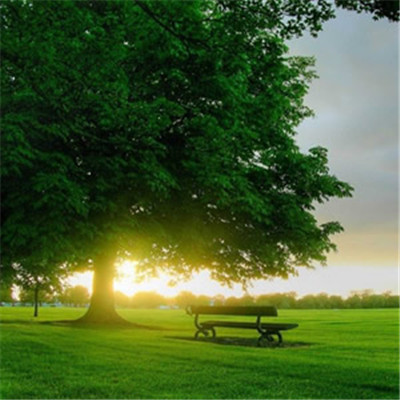 可以精准分析我的岗位需求，老师也非常负责，会为学生提供个性化辅导让备考更轻松一点