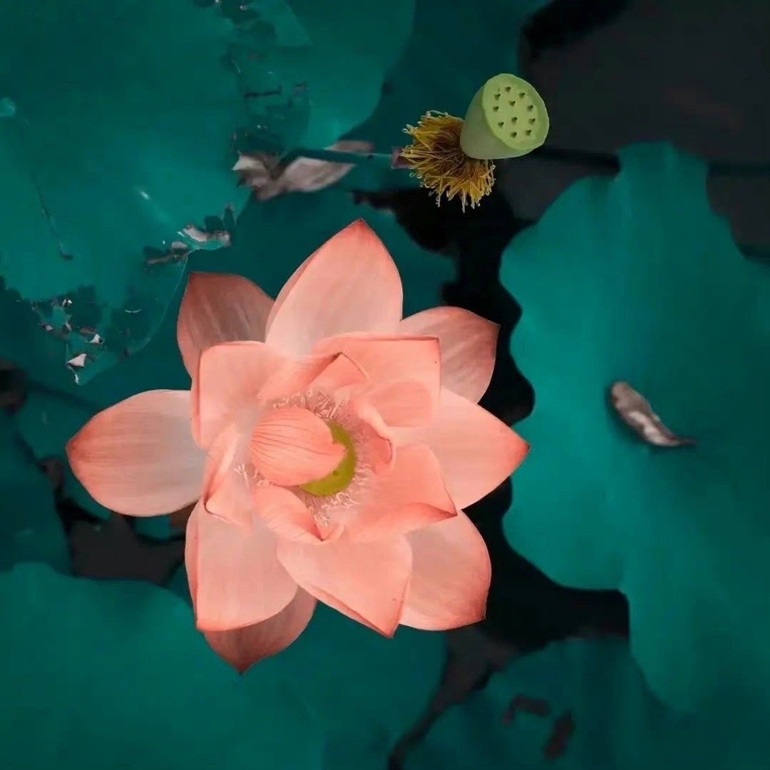 资源网络强大，老师全程陪同，内部信息比官网更新还快，遇到合适的岗位都会联系我，能够遇到这么负责的真的很难得